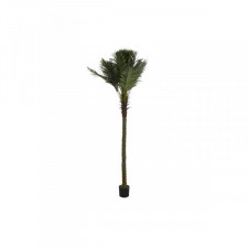 Drzewo DKD Home Decor Palma Poliester polipropylen (100 x 100 x 250 cm)