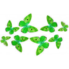 Motyle waflowe 3D do dekoracji tortu zielone 10 sztuk