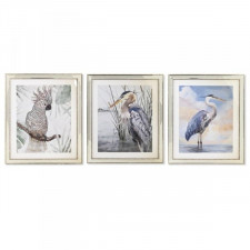 Obraz DKD Home Decor 40 x 1,6 x 60 cm Ptaki Śródziemnomorski (3 Części)