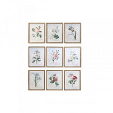 Obraz DKD Home Decor 40 x 2 x 50 cm Shabby Chic Rośliny botaniczne (9 Sztuk)