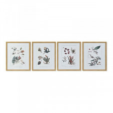 Obraz DKD Home Decor 43 x 3 x 53 cm Rośliny botaniczne (4 Części)