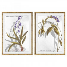 Obraz DKD Home Decor 50 x 2 x 70 cm Nowoczesny Rośliny botaniczne (2 Sztuk)