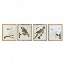 Obraz DKD Home Decor 50 x 2,5 x 60 cm Tropikalny Ptaki (4 Części)