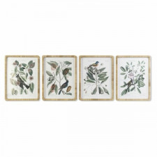 Obraz DKD Home Decor 50 x 2,5 x 65 cm Shabby Chic Rośliny botaniczne (4 Części)