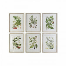 Obraz DKD Home Decor 55 x 2 x 70 cm Shabby Chic Rośliny botaniczne (6 Części)