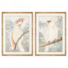 Obraz DKD Home Decor Papuga Tropikalny 50 x 3 x 70 cm (2 Sztuk)