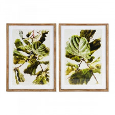Obraz DKD Home Decor Plants 50 x 2,5 x 70 cm Liść roślin (2 Sztuk)