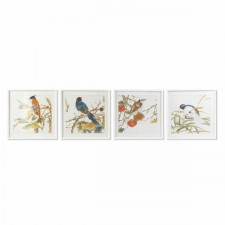 Obraz DKD Home Decor Ptak Shabby Chic 60 x 2,5 x 60 cm (4 Sztuk)