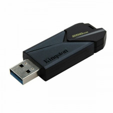 Pamięć USB Kingston DTXON/256GB
