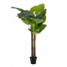 Roślina Dekoracyjna 75 x 60 x 155 cm Kolor Zielony Philodendro