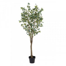 Roślina Dekoracyjna 80 x 75 x 173 cm Kolor Zielony PVC Eukaliptus