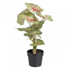 Roślina Dekoracyjna Czerwony Kolor Zielony PVC 40 x 35 x 55 cm