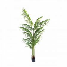 Roślina Dekoracyjna DKD Home Decor 100 x 100 x 200 cm Kolor Zielony polipropylen Tropikalny Palma