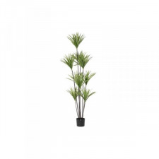 Roślina Dekoracyjna DKD Home Decor 75 x 75 x 180 cm Dracaena Brązowy Kolor Zielony polipropylen
