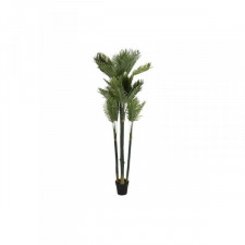 Roślina Dekoracyjna DKD Home Decor Palma (100 x 100 x 230 cm)