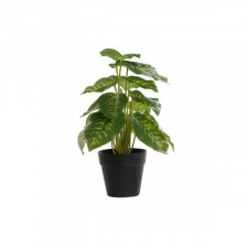 Roślina Dekoracyjna DKD Home Decor PVC polipropylen 20 x 20 x 30 cm
