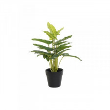 Roślina Dekoracyjna DKD Home Decor PVC polipropylen 25 x 25 x 30 cm