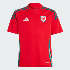 Wales 24 Home Jersey Kids