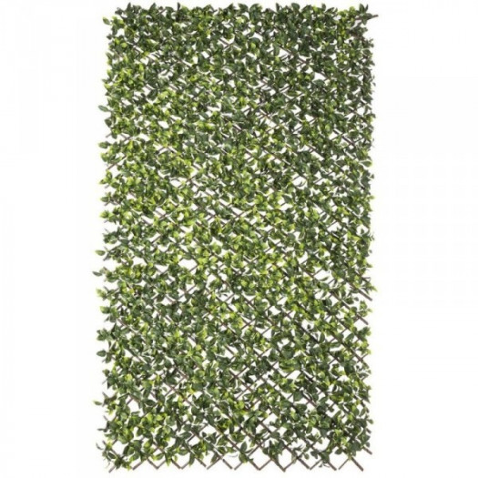 Kratka Natural Bluszcz wiklinowy Bambus 2 x 200 x 100 cm