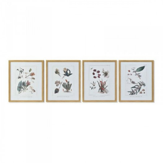 Obraz DKD Home Decor 43 x 3 x 53 cm Rośliny botaniczne (4 Części)