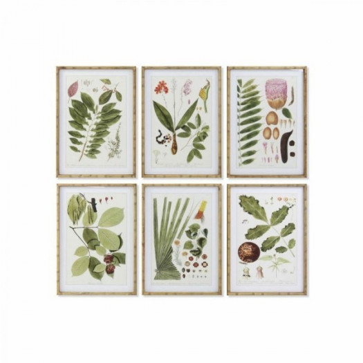 Obraz DKD Home Decor 50 x 2,8 x 70 cm Nowoczesny Rośliny botaniczne (6 Części)