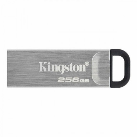 Pamięć USB Kingston DTKN/256GB USB 3.2 Czarny Srebro 256 GB