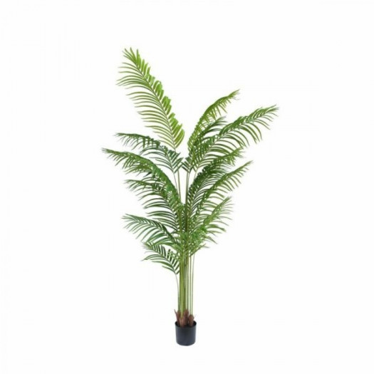 Roślina Dekoracyjna DKD Home Decor 100 x 100 x 200 cm Kolor Zielony polipropylen Tropikalny Palma